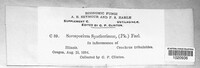 Image Associated With the Occurrence
